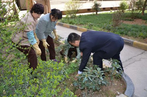 西安弘仁物业管理有限责任公司开展3·12植树节"美丽庭院"活动
